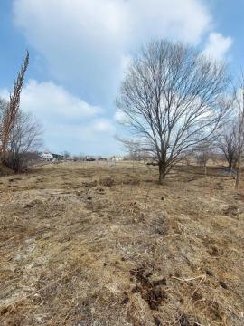 Участки, Партизанский район