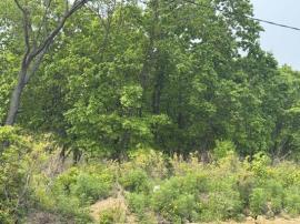 Участки, Находка