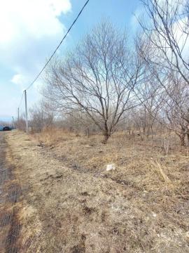 Участки, Партизанский район