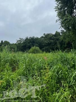 Участки, Артем