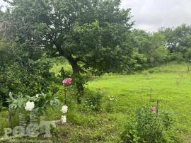 Участки, Надеждинский район
