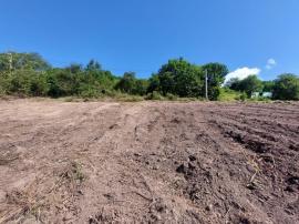 Участки, Партизанский район