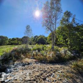 Участки, Надеждинский район